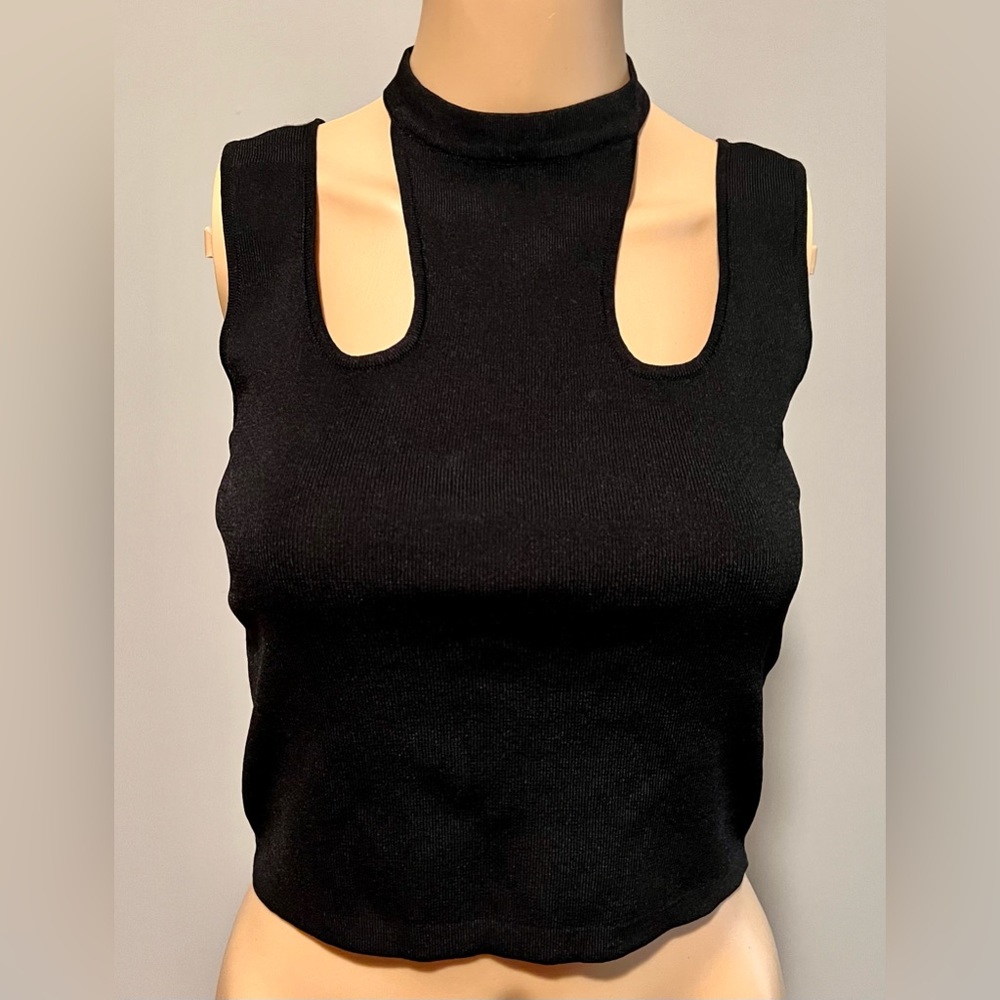 Zara Cropped Top
